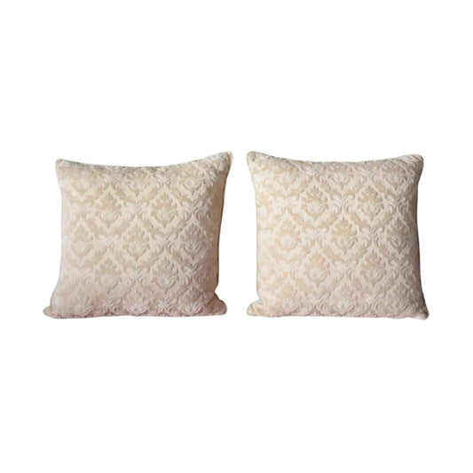 Early 1900 Pillows with Raised Floral Pattern & Ivory Velvet