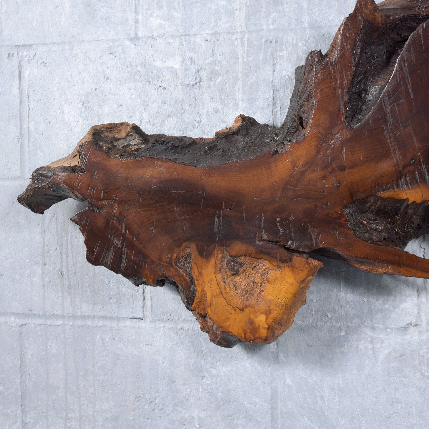 Vintage Freeform Driftwood Wall Sculpture with Natural Stain and Lacquer Finish