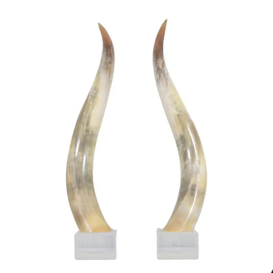 Pair of Natural Longhorn Steer on Lucite Bases