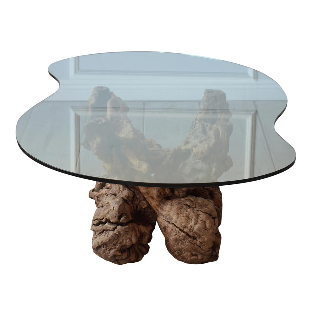 Organic Free form Root Coffee Table